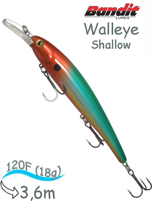 BDTWBS1 B15 Walleye Shallow