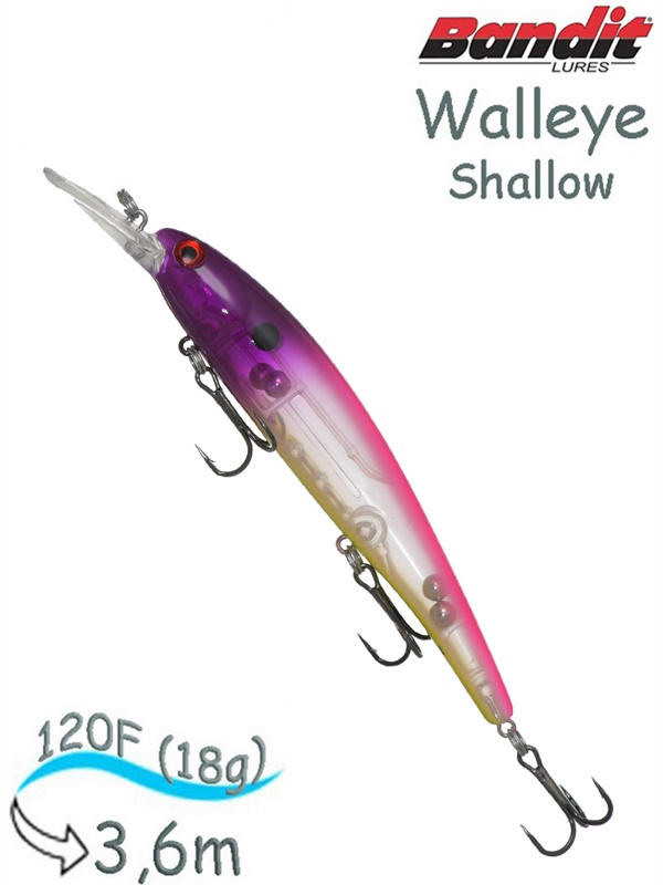 BDTWBS1 B17 Walleye Shallow