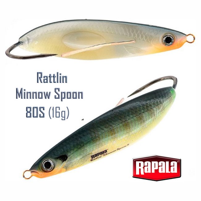 RMSR08 BG Rattlin Minnow Spoon