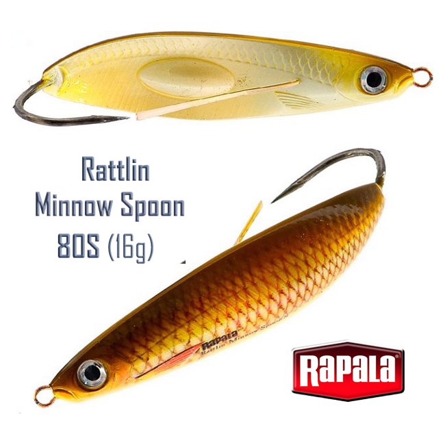 RMSR08 JP Rattlin Minnow Spoon