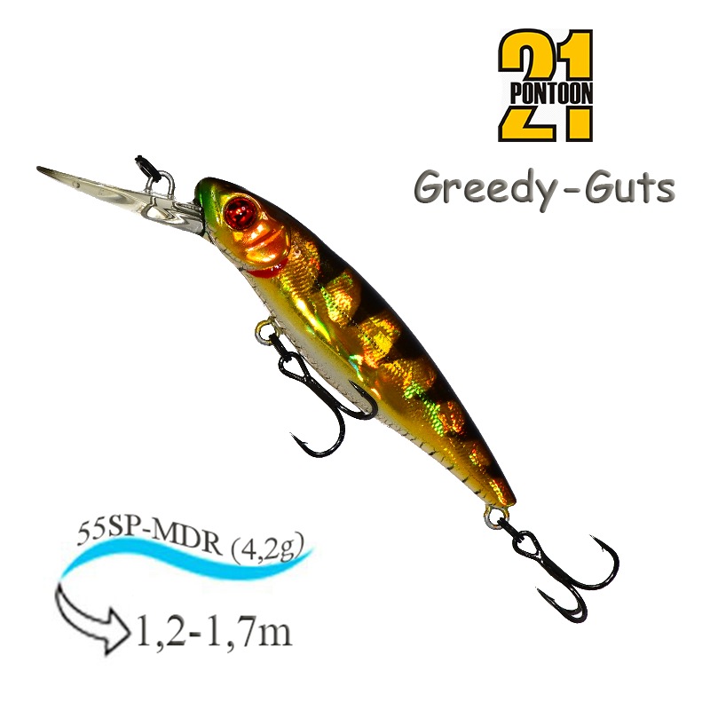 Greedy-Guts 55SP-MDR 437