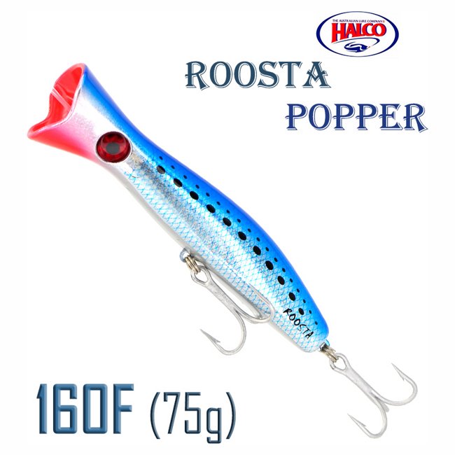 Roosta Popper 160 H50
