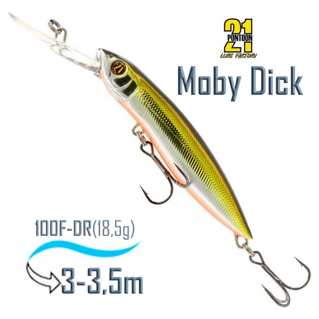 Moby Dick 100 F-DR-R60