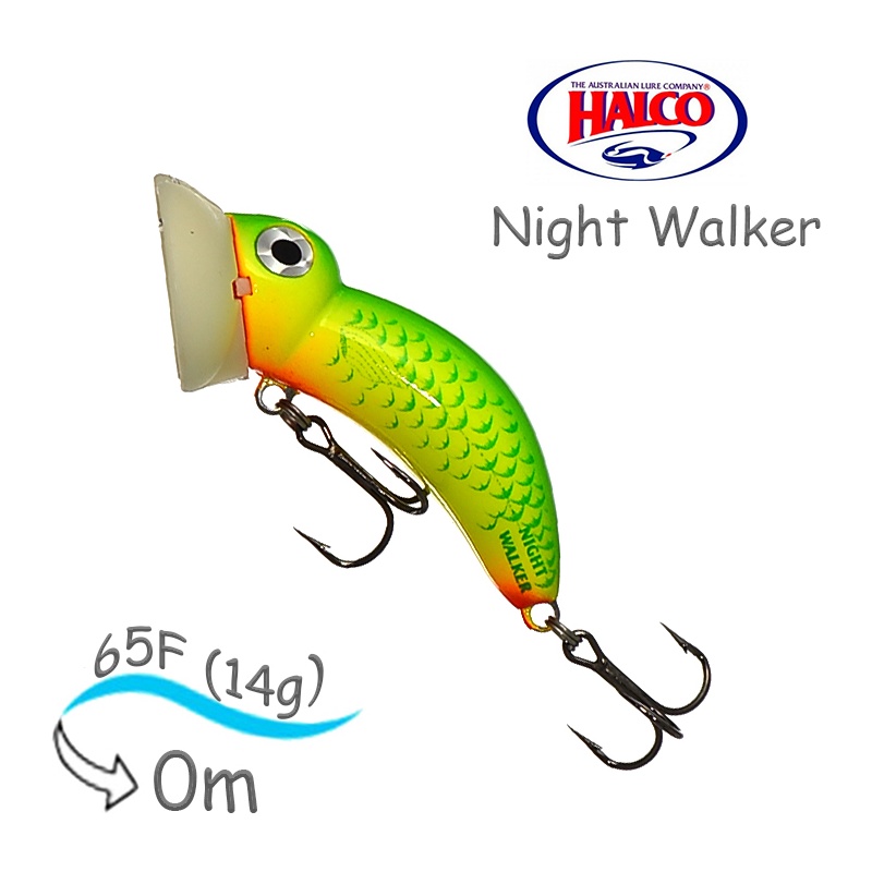 Night Walker R07