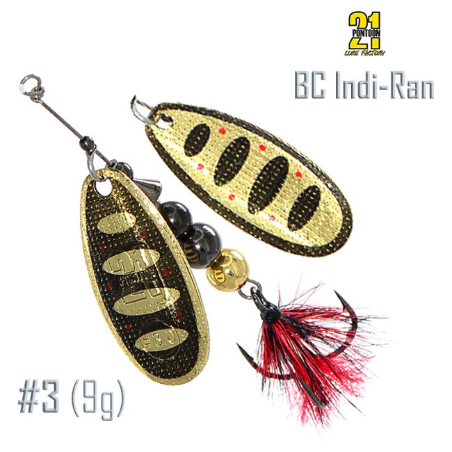 BC Indi-Ran 3-B01-004