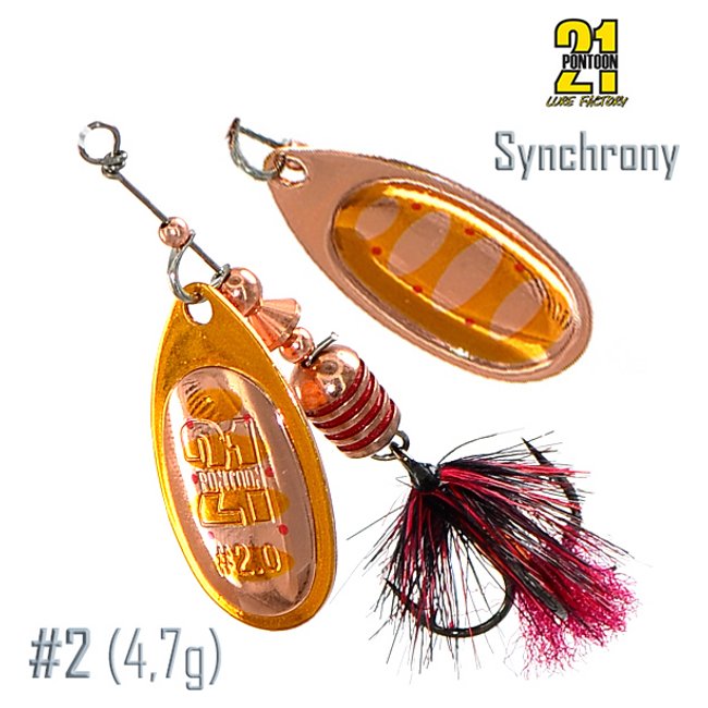 Synchrony 2-C01-003 .