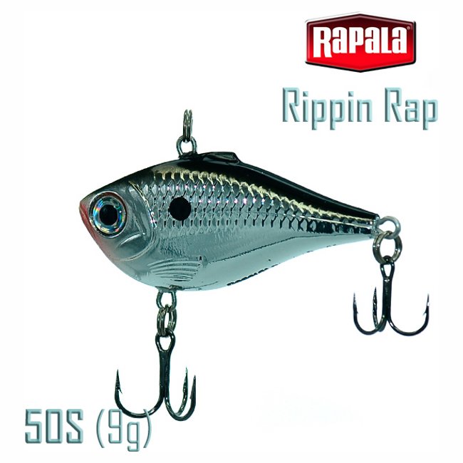 RPR05 CH Rippin Rap