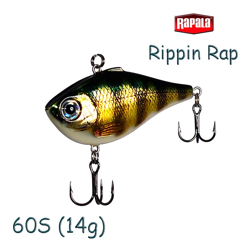 RPR06 PEL Rippin Rap