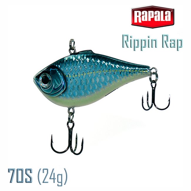 RPR07 GCH Rippin Rap