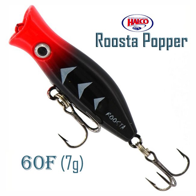 Roosta Popper  60-H65