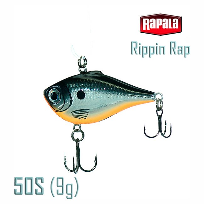 RPR05 HLW Rippin Rap