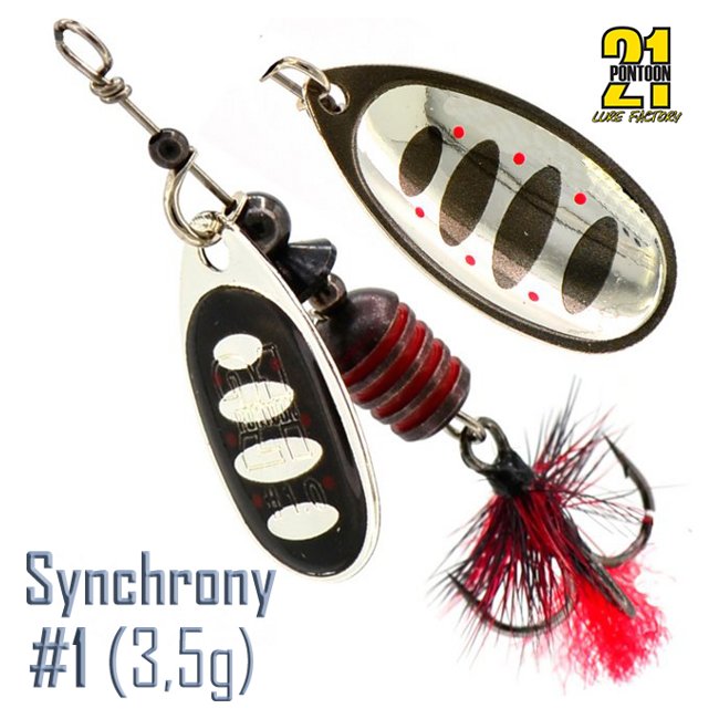 Synchrony 1-C02-004
