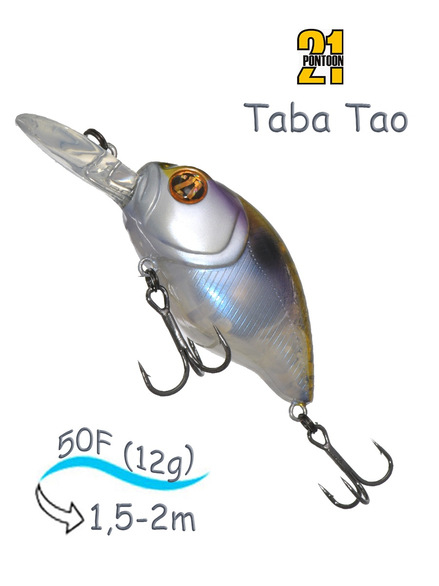 TabaTao 50F-MDR 081
