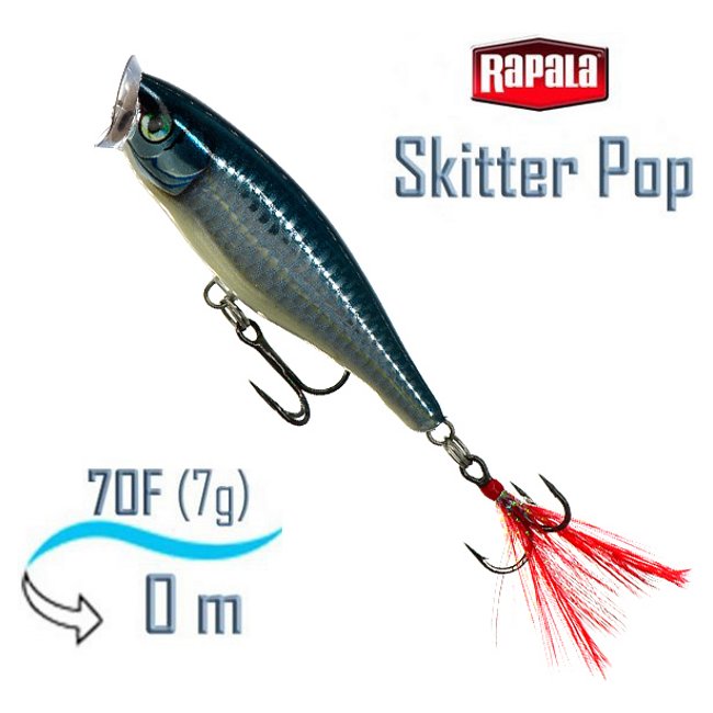 SP07 BAP Skitter Pop