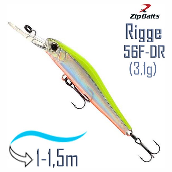 Rigge 56 F-DR 205R