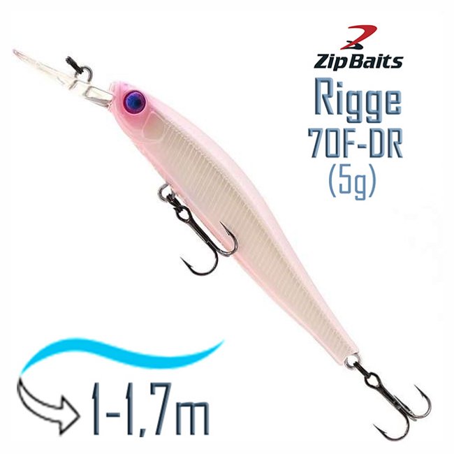 Rigge 70 F-DR-043R