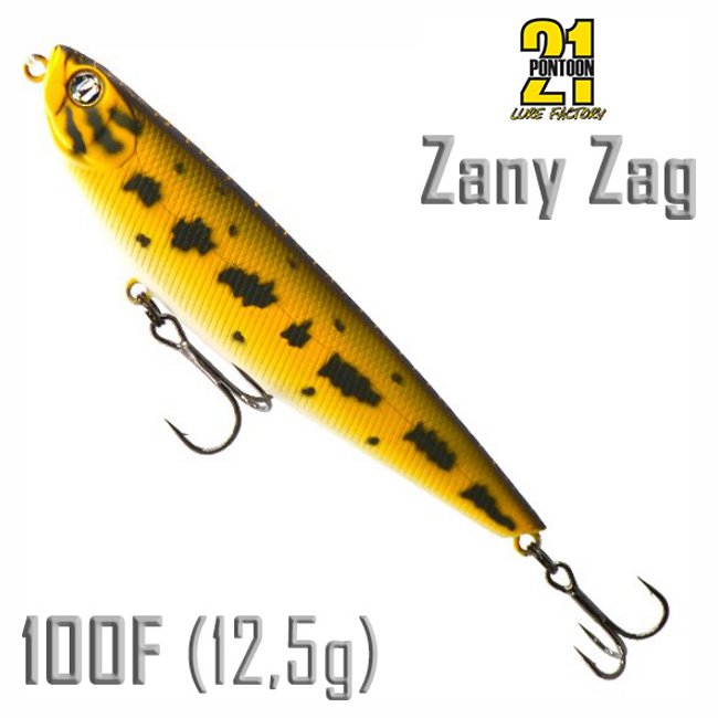 Zany Zag 100 DW-R31