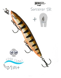 Sorcerer 125 SR-R06 - фото