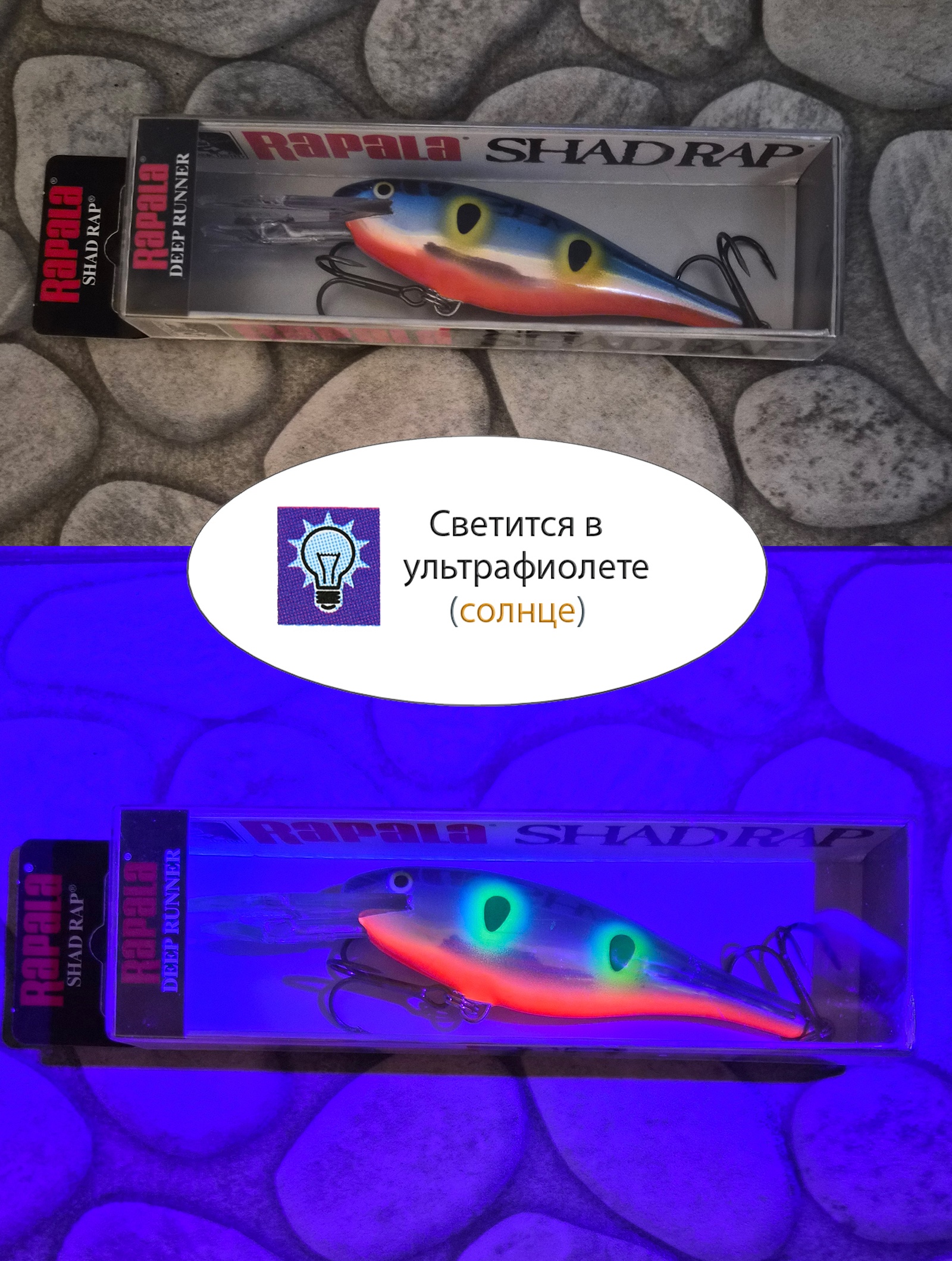 SR09 BE Shad Rap - фото4