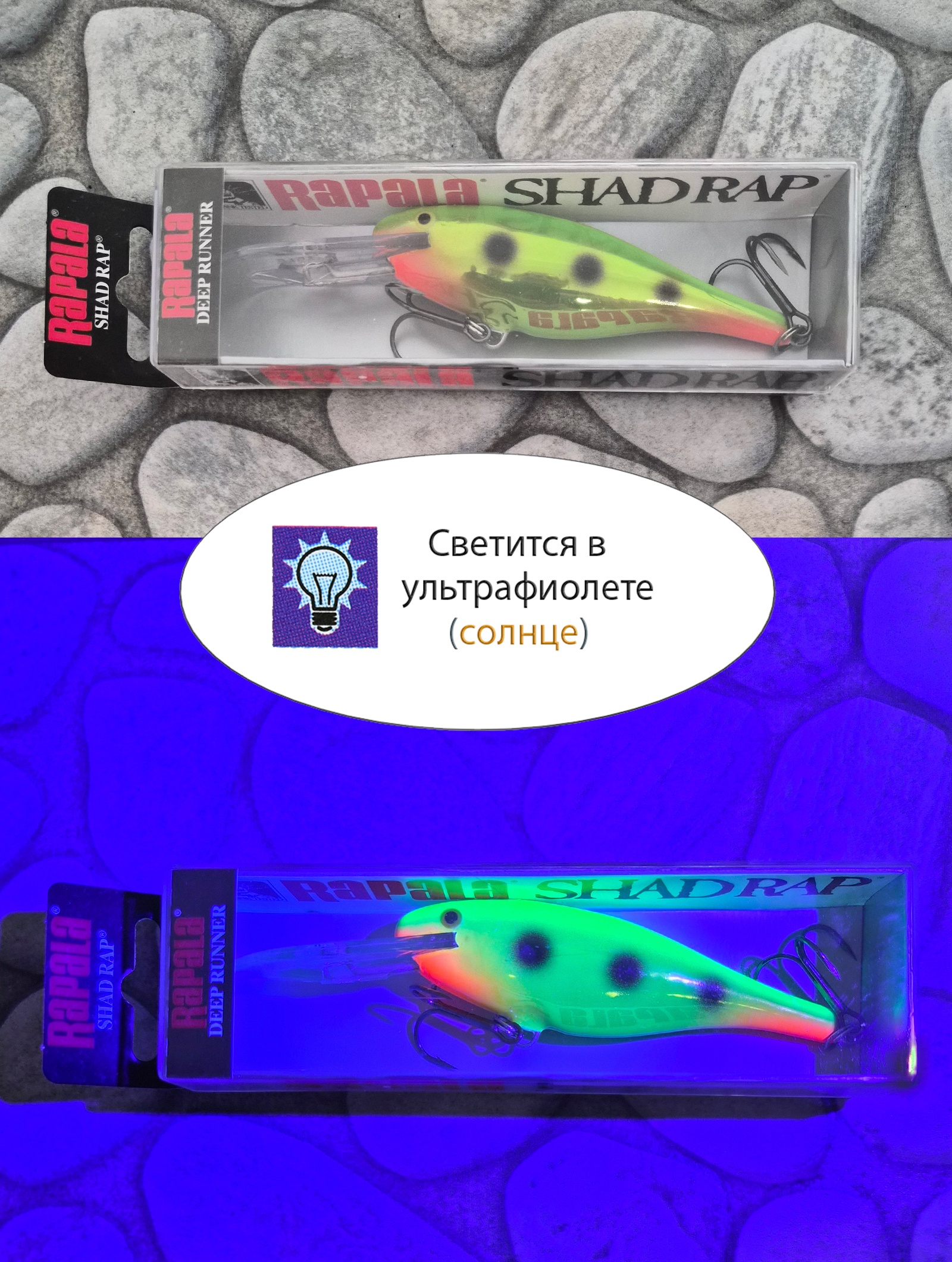 SR09 ATF Shad Rap - фото4