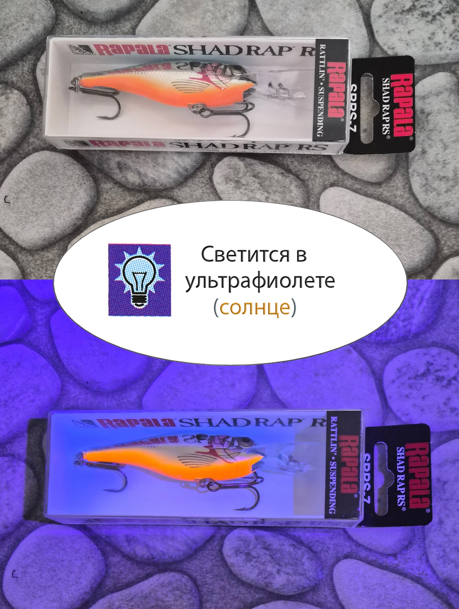 SRRS07 SB Shad Rap RS - фото4