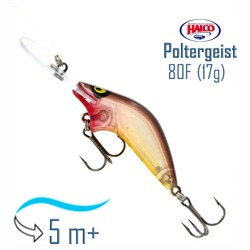 Poltergeist 80 R36 - фото