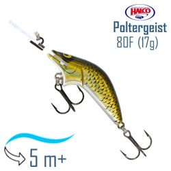 Poltergeist 80 R32 - фото