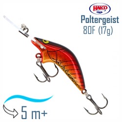 Poltergeist 80 H61 - фото