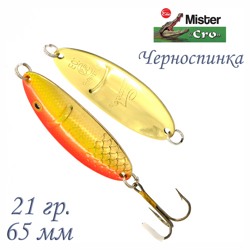 Черноспинка 65-21 GFR - фото