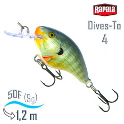 DT04 BG Dives-To - фото