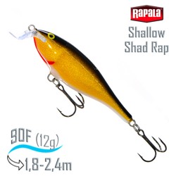 SSR09 G Shallow Shad Rap - фото