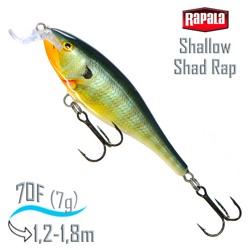 SSR07 BG Shallow Shad Rap . - фото