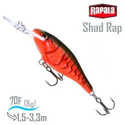SR07 RCW Shad Rap . - фото