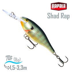SR07 BG Shad Rap . - фото