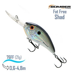 BD7 FDTS Fat Free Shad - фото