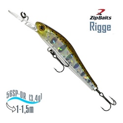 Rigge 56 SP-DR 810R - фото