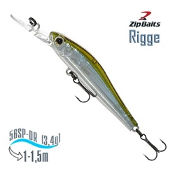 Rigge 56 SP-DR 021R - фото
