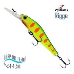 Rigge 56 SP-DR 313R - фото