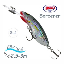 Sorcerer  68 DD-R25 - фото