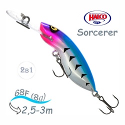 Sorcerer  68 DD-R19 - фото