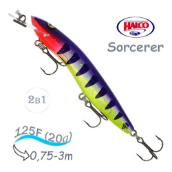 Sorcerer 125 SR-R24 - фото