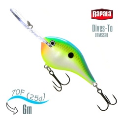 DTMSS20 CTSD - фото