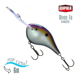 DTMSS20 BGSD - фото