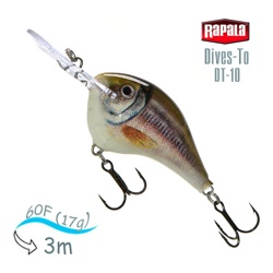 DT10 SML Dives-To - фото