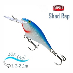 SR04 B Shad Rap - фото