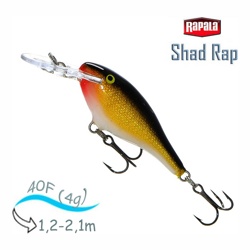 SR04 G Shad Rap - фото