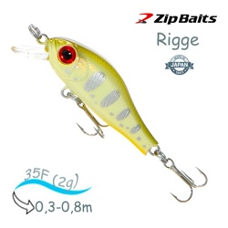 Rigge 35 F-852 - фото