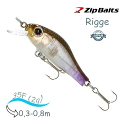 Rigge 35 F-809 - фото