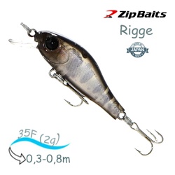 Rigge 35 F-813 - фото