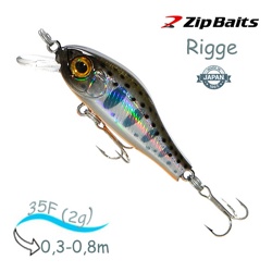 Rigge 35 F-316 - фото